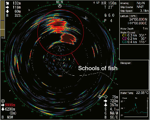 (150 m range) Schools of tuna and skipjack tuna spotted.