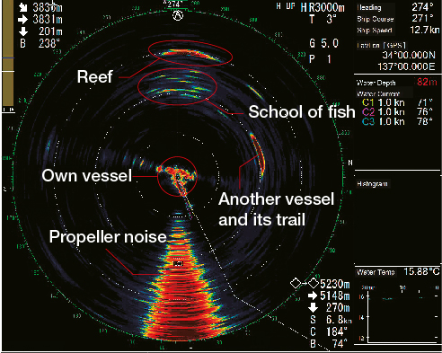 (3000 m range) A school of fish 2000 m ahead. The fish school appears to swim close to a reef.