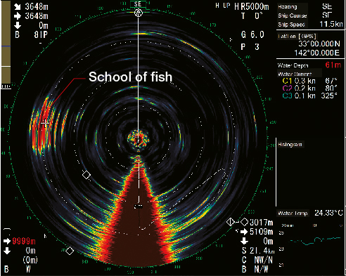 (5000 m range) A school of bait fish can be seen on the port side of the vessel.