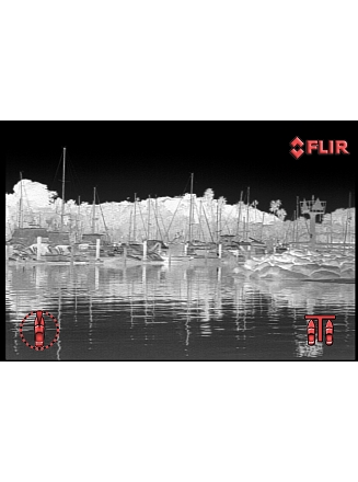 Marina_IR
