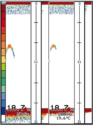 Page divis�e 50khz & 200 khz