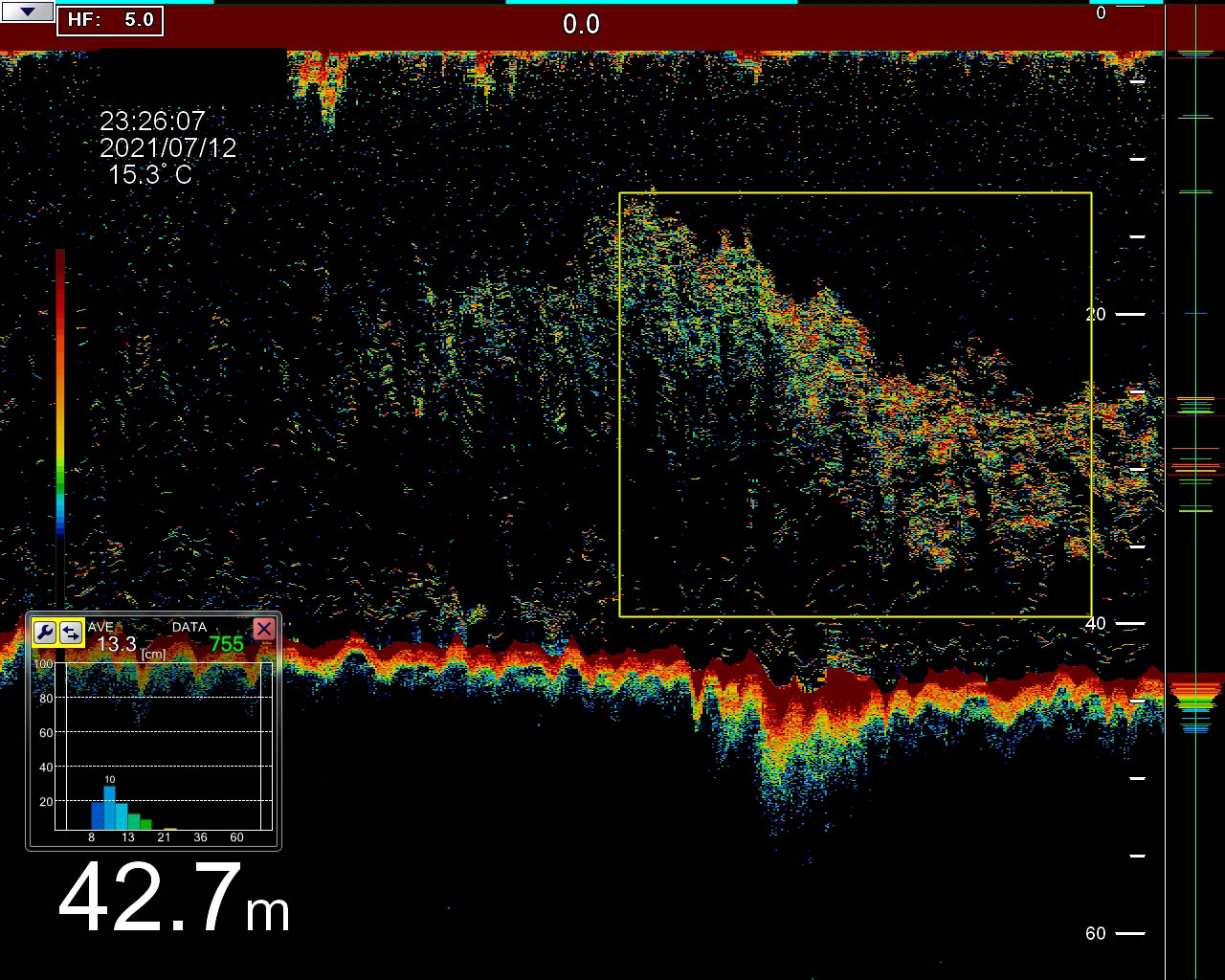 FSS-3BB_DETECTION_SARDINES_07