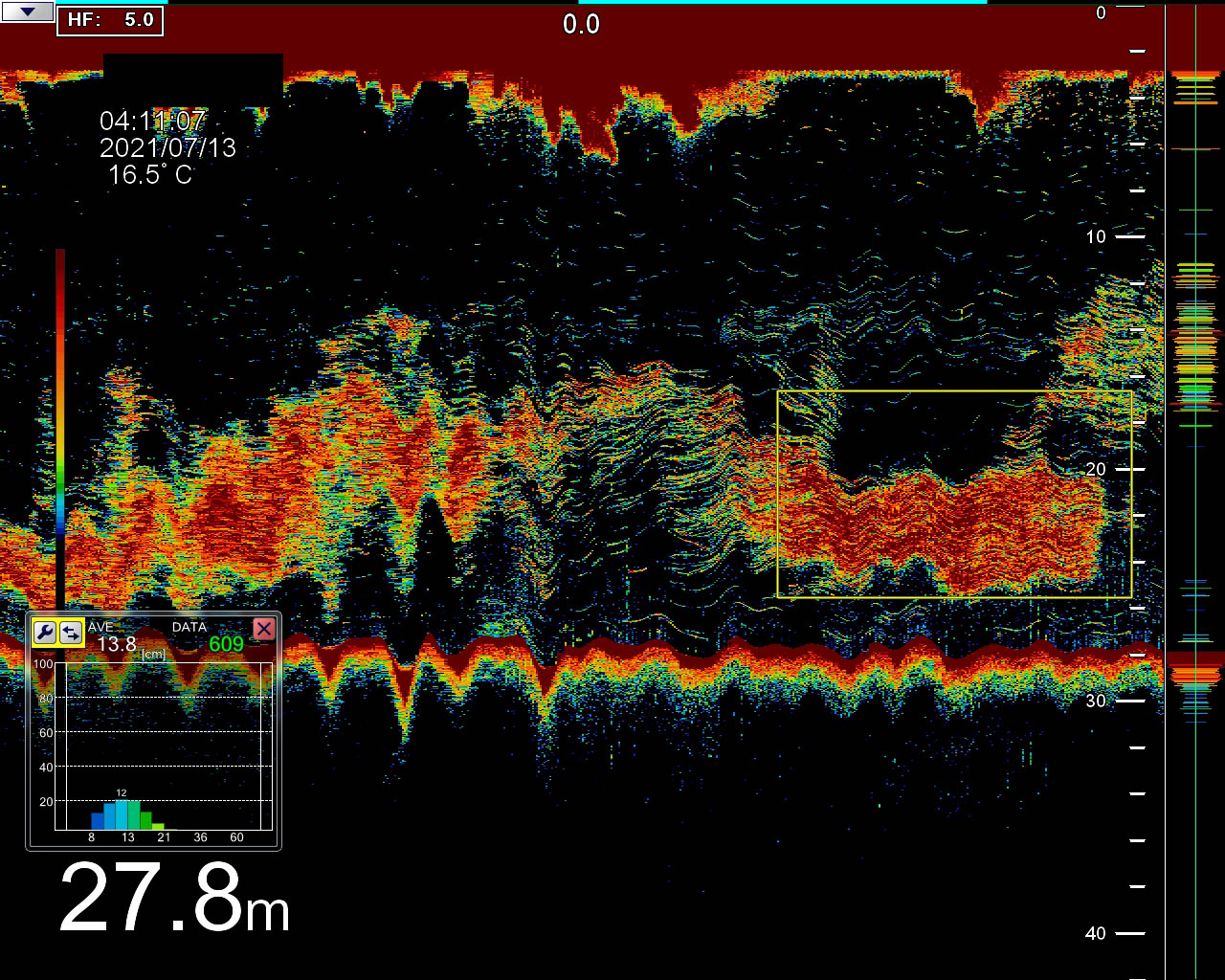 FSS-3BB_DETECTION_SARDINES_11