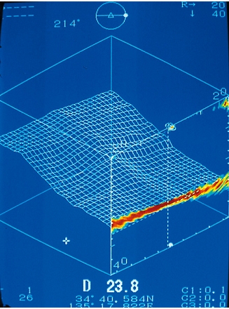 Perspective Oblique