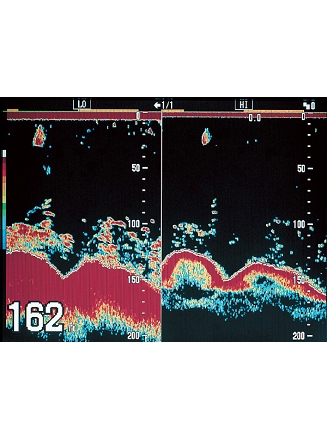 Mode Bi-Frequence