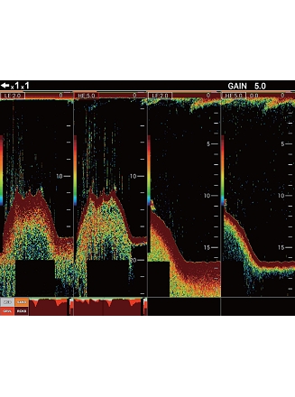 Display up to four different frequencies